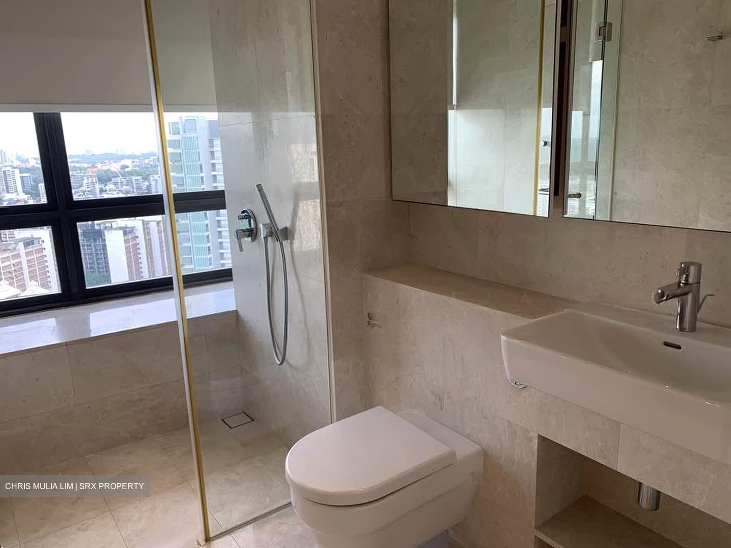 Trilight (D11), Condominium #570263651